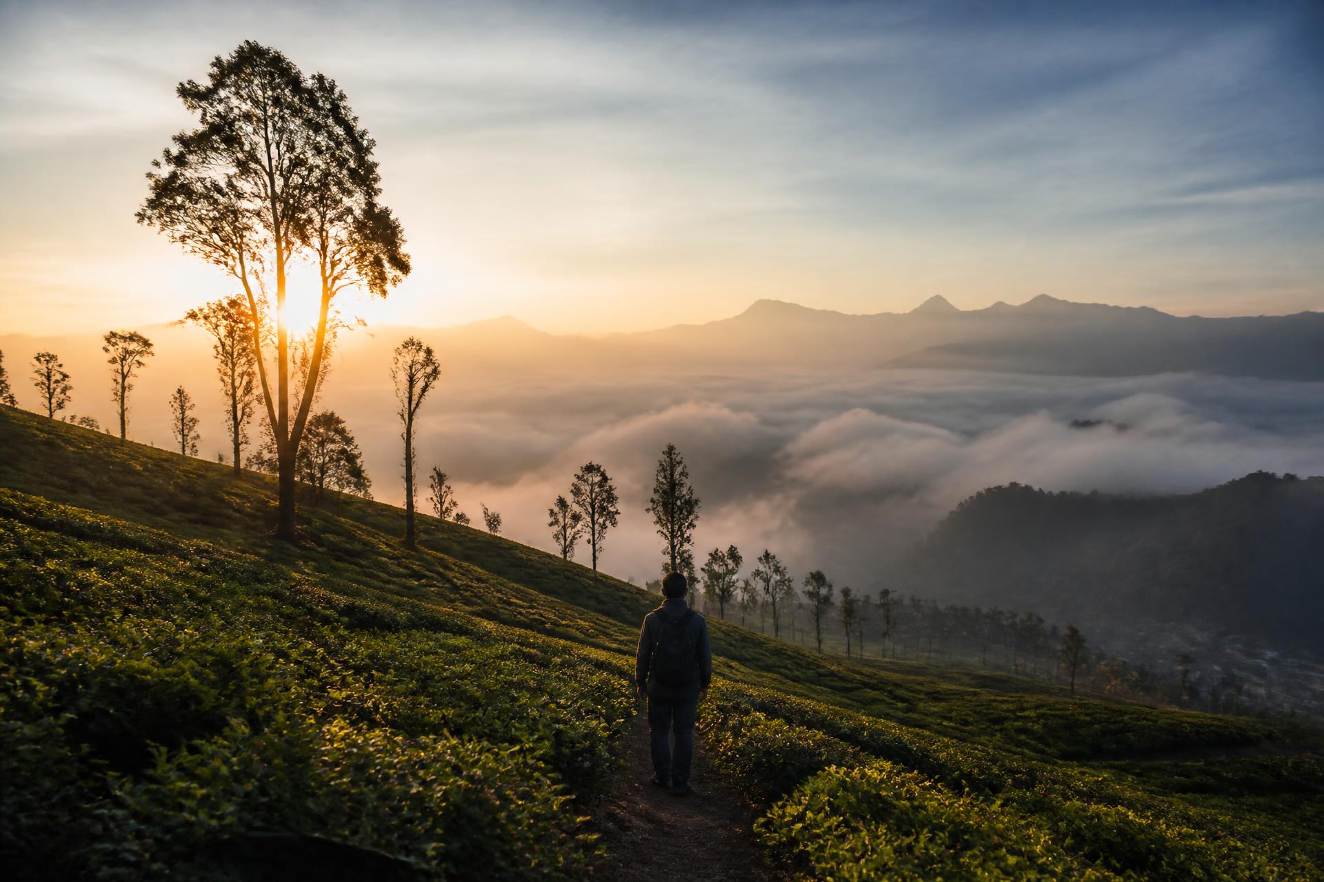 Field notes from the road